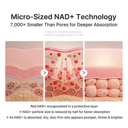 NAD+ EGF Firming Multi Balm